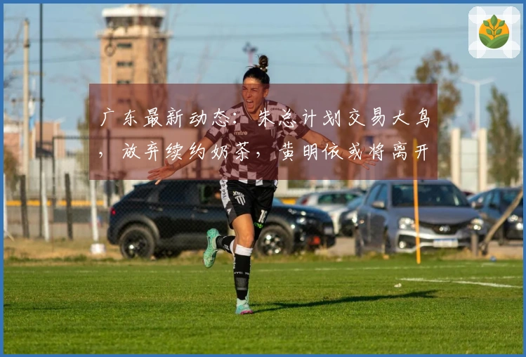 广东最新动态：朱总计划交易大鸟，放弃续约奶茶，黄明依或将离开